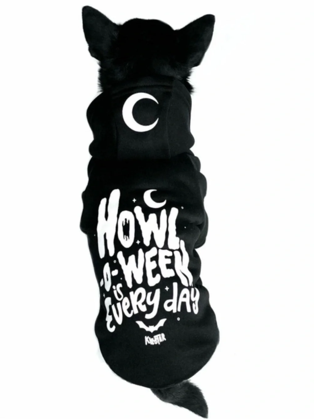 Killstar Howl O Ween is Everyday Dog Hoodie Size Small